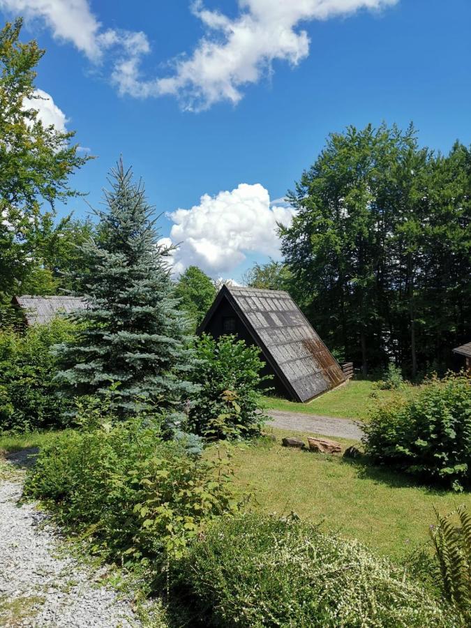 Blockhaus Am Twistesee Mit 3 Schlafzimmern Bad Arolsen Exterior photo