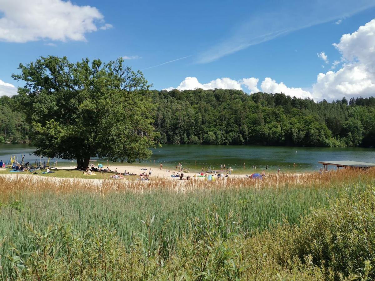 Blockhaus Am Twistesee Mit 3 Schlafzimmern Bad Arolsen Exterior photo