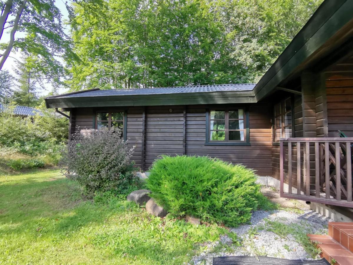 Blockhaus Am Twistesee Mit 3 Schlafzimmern Bad Arolsen Exterior photo